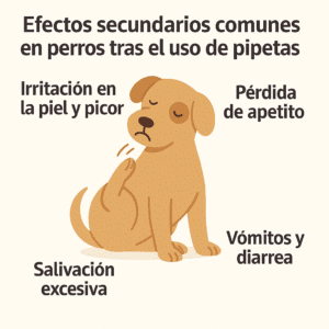 síntomas para perros
