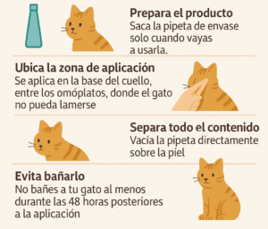 cómo aplicar una pipeta antipulgas para gatos en casa
