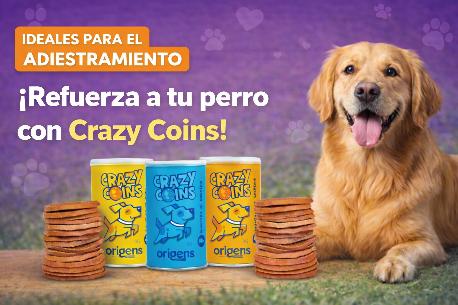 snacks para perros