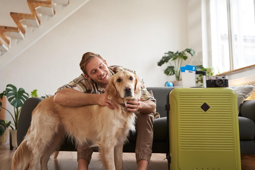 como viajar con mascotas
